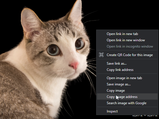 copy the image address