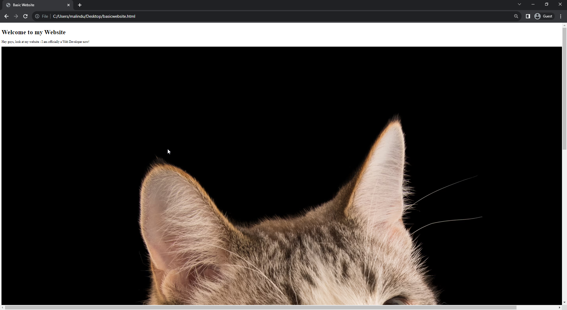 very large image on an html page