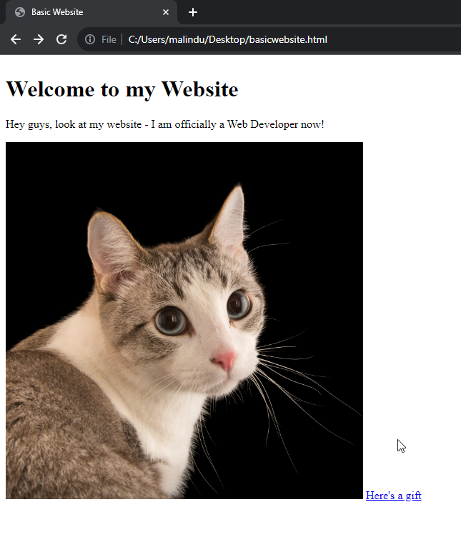 website with heading, paragraph, image and a link