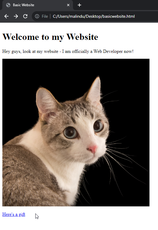 extra empty line between image and link