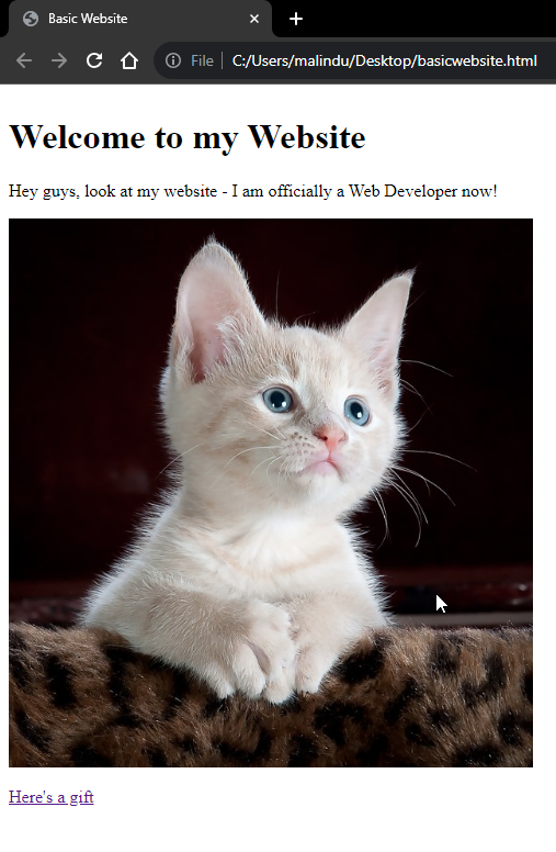 new cat pic added to website using local path