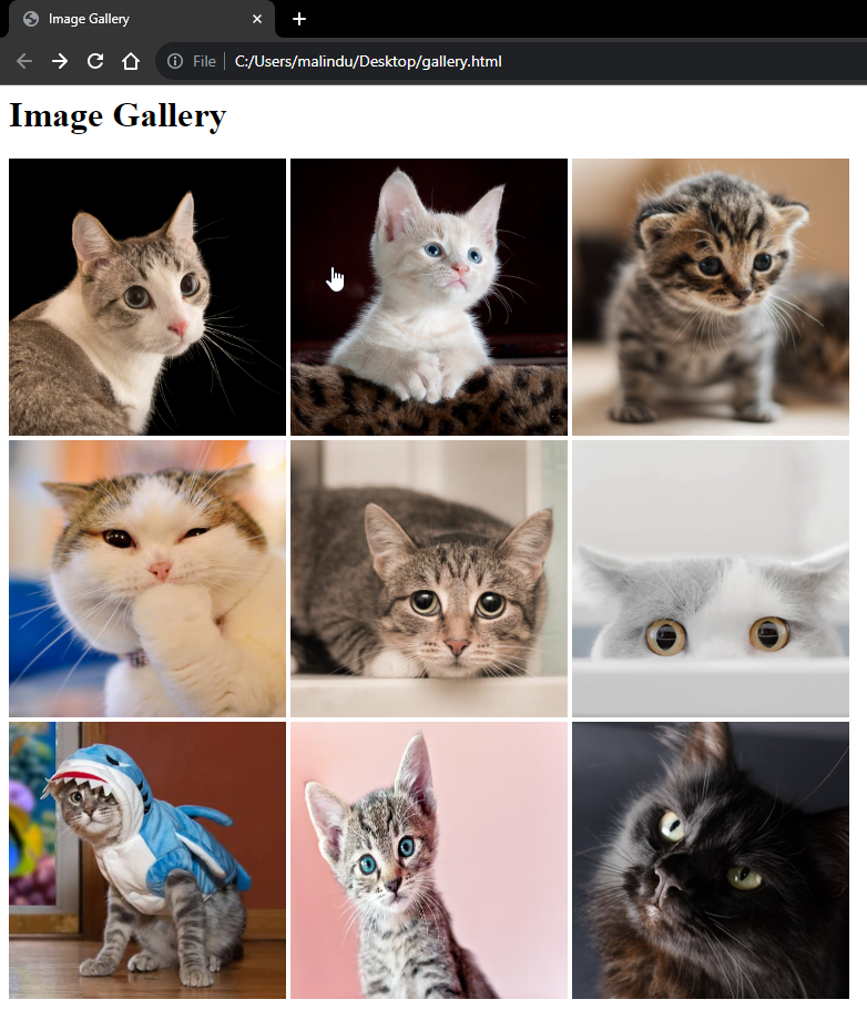 image gallery working demo