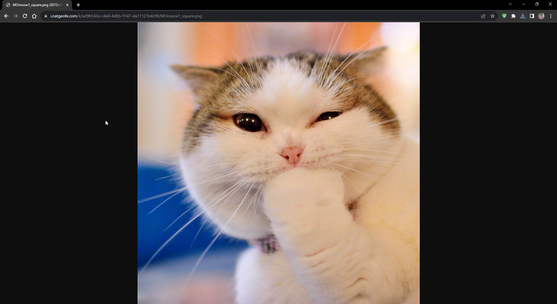image opened when clicked on it